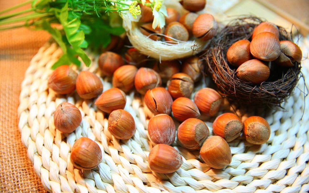 Začnimo z optimizacijo beljakovin