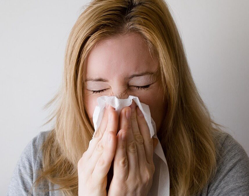 Za manj alergij na poti