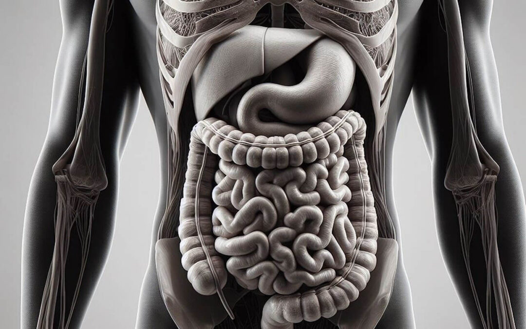 Priprava črevesja na praznike