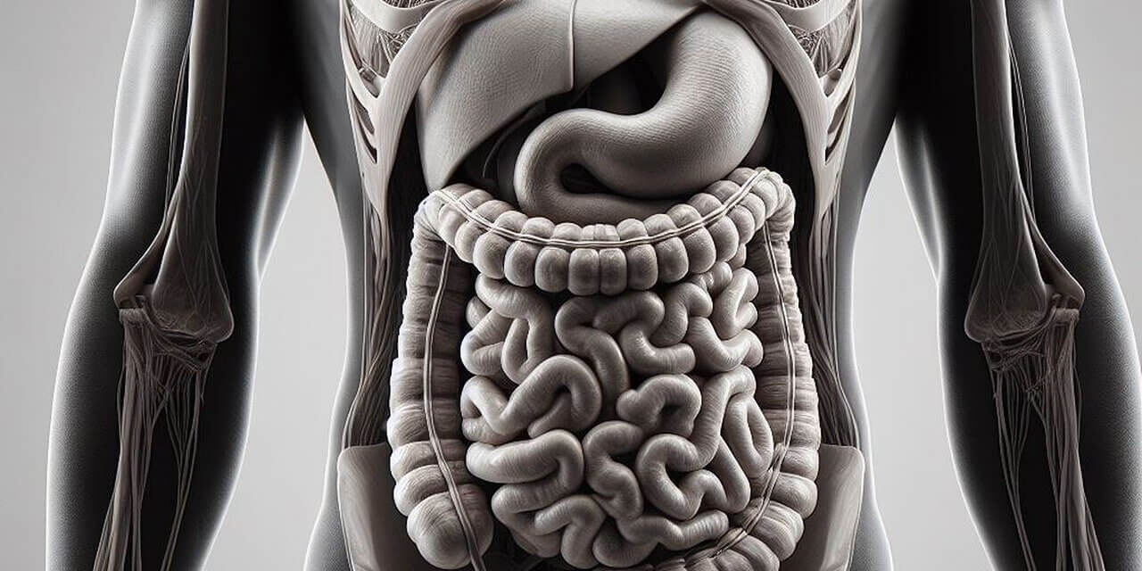 Priprava črevesja na praznike