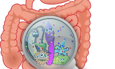 Neuravnoteženost črevesne biote pri KOPB