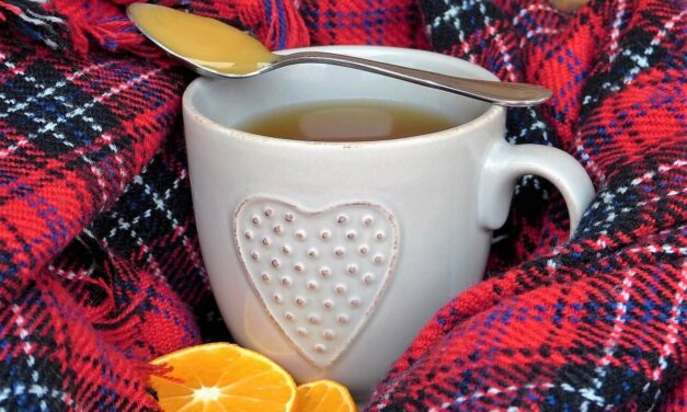 Kako s FHES proti gripi in prehladu