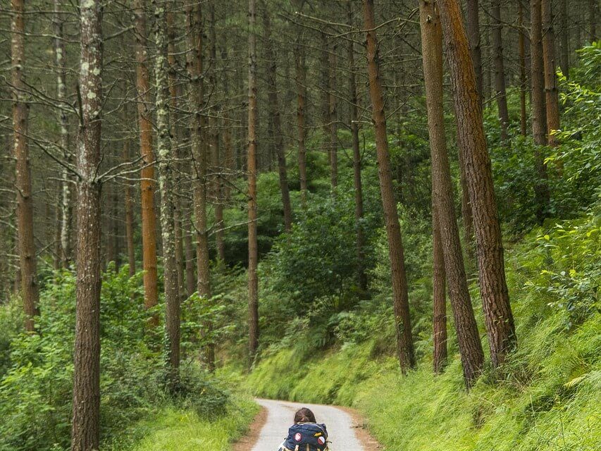 Hodimo, pa še kaj …