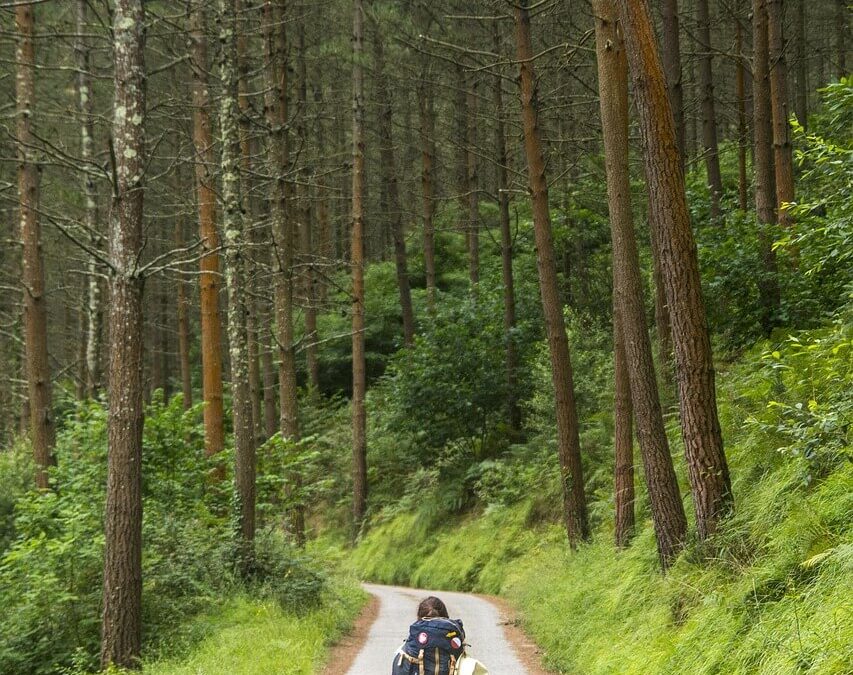 Hodimo, pa še kaj …