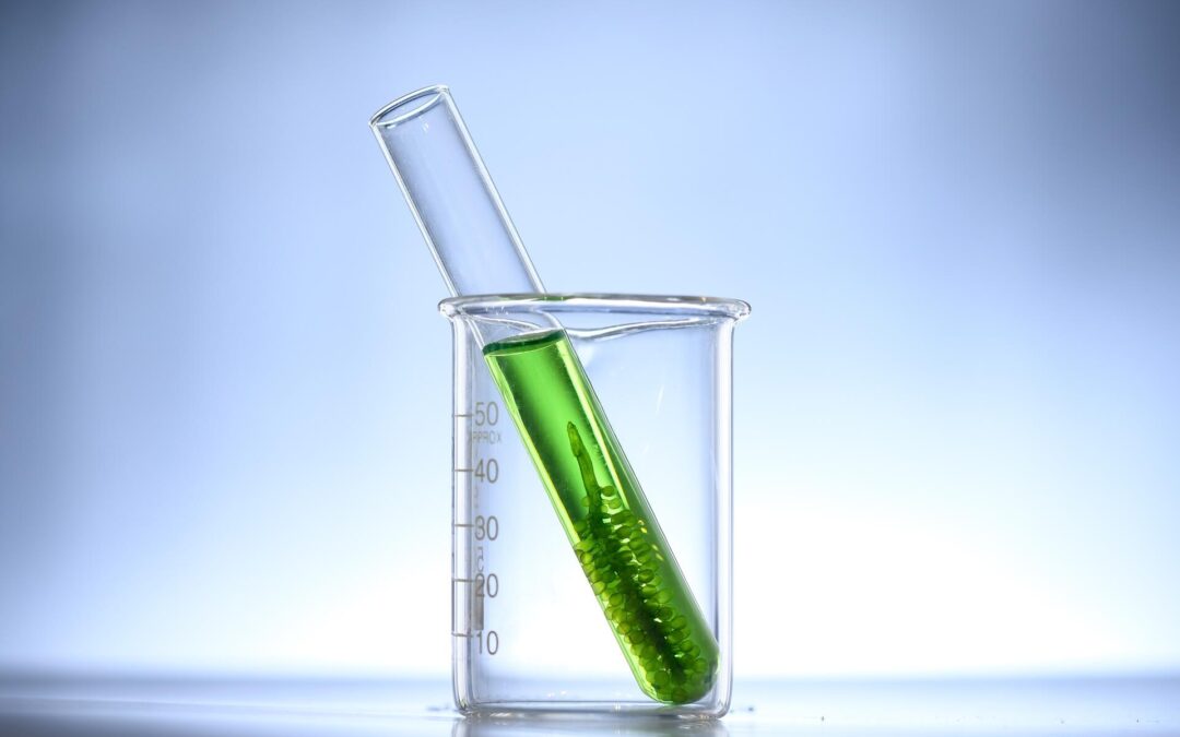 Klorela za klen imunski sistem