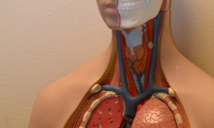 Nealkoholna zamaščenost jeter