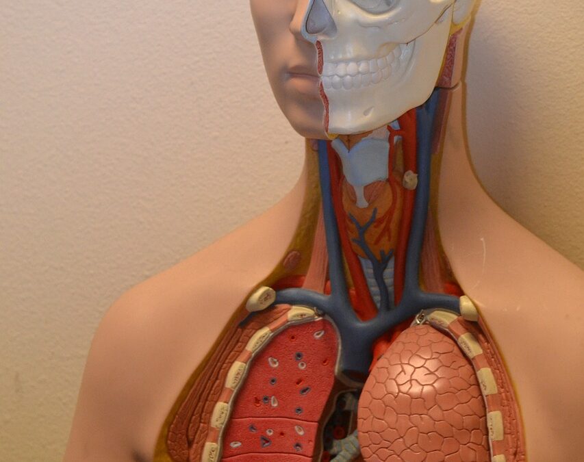 Nealkoholna zamaščenost jeter