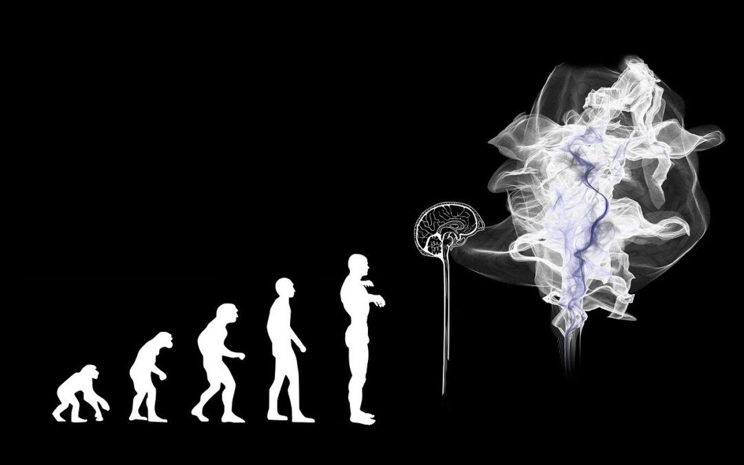 Iz dediščine kamenodobnih prednikov