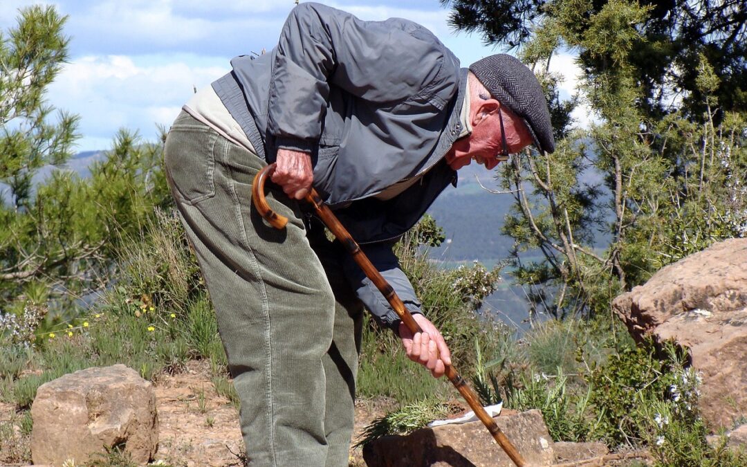 Drugi krepilni učinki spiruline
