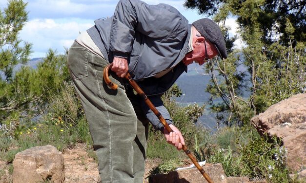 Drugi krepilni učinki spiruline