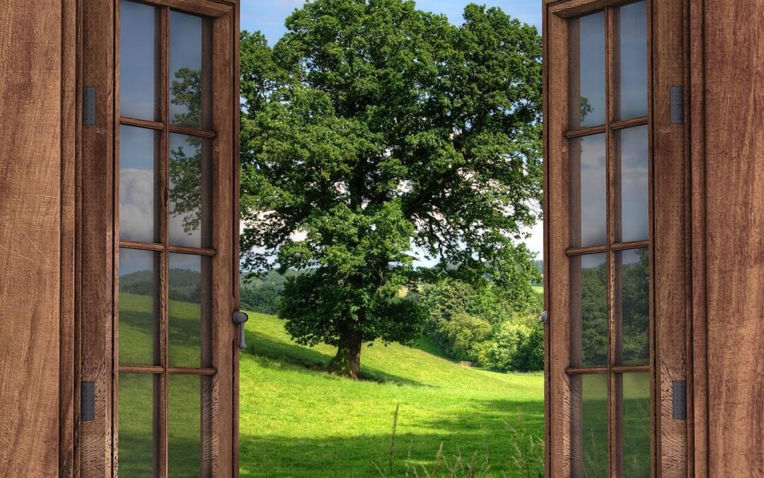 Lepo okolje pospeši ozdravitev