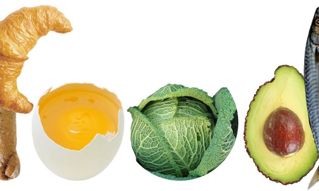 Najprej optimiziramo beljakovinsko prehrano