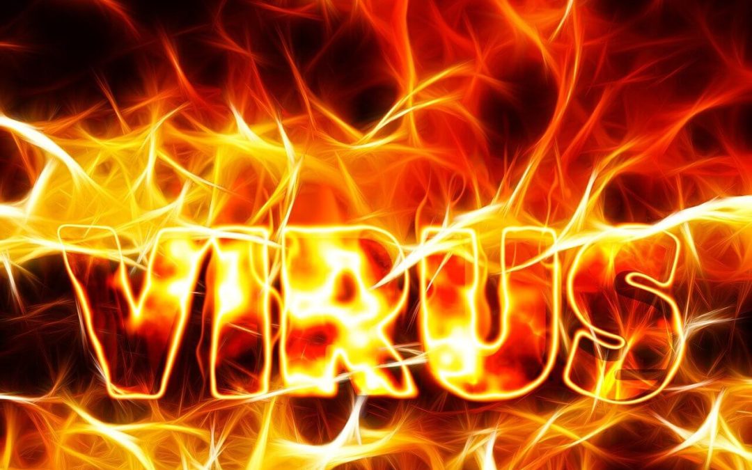 Kako nastajajo in se razvijajo virusi