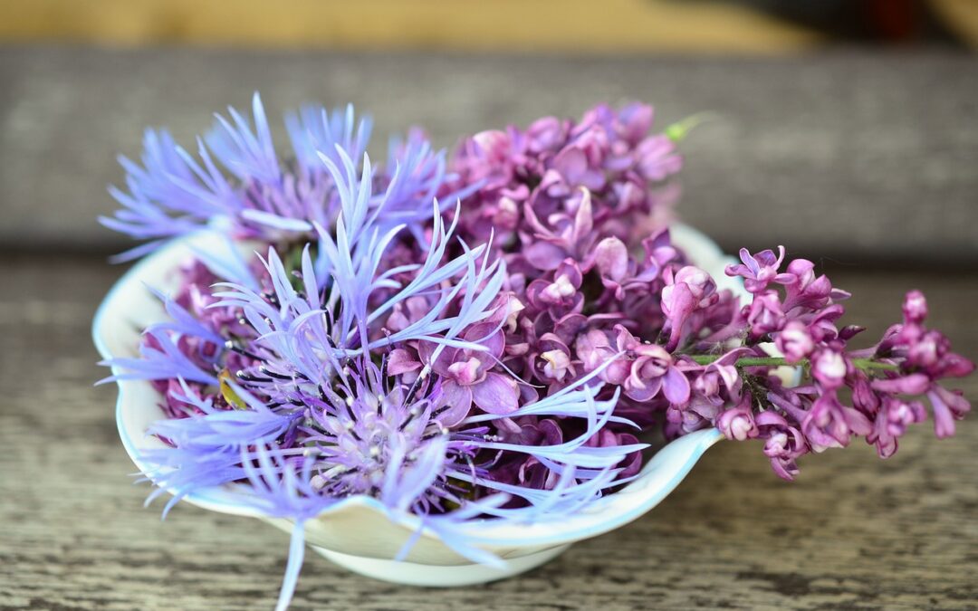 Zakaj so rože lepe?