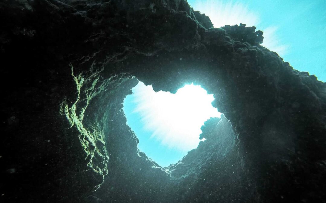 Skrb za srce in ožilje