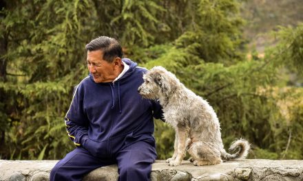 Okrepitev starejših z OKA