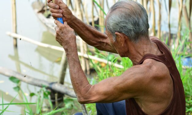 Za več človekovega dostojanstva starejših