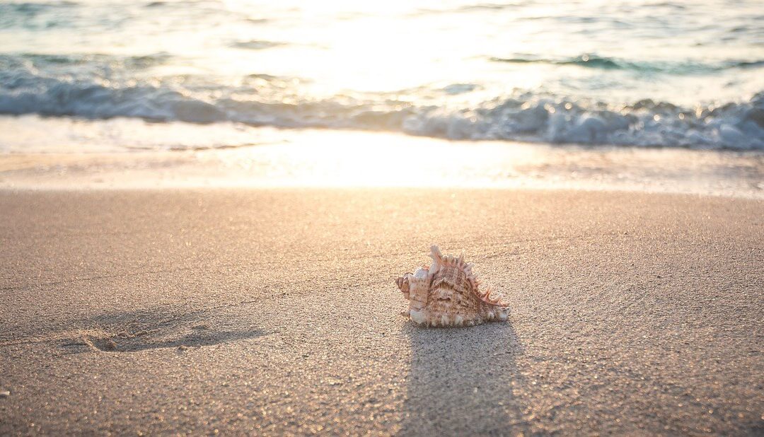 Poletna vročina: manj telesne energije, več prostih radikalov