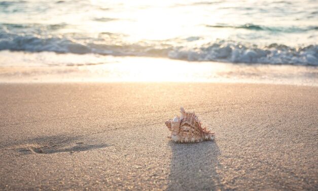 Poletna vročina: manj telesne energije, več prostih radikalov