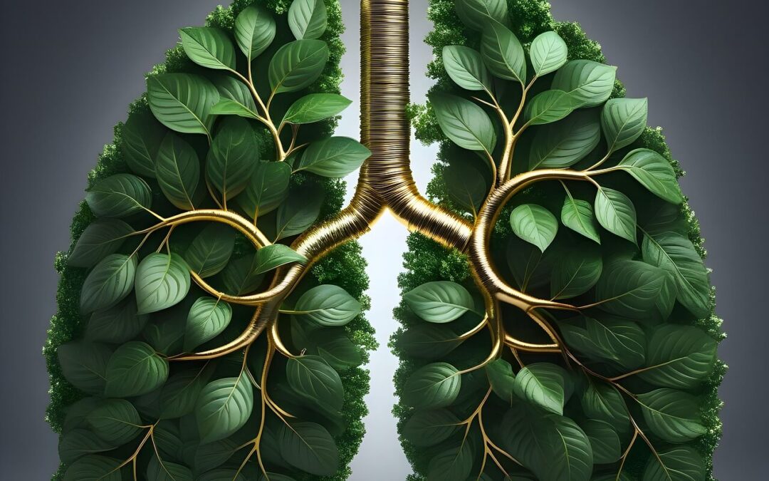 Kljub KOPB celo na vršace