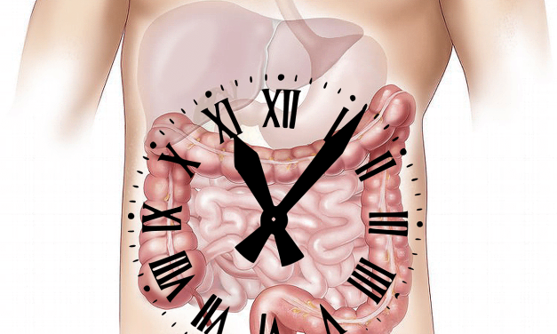 Za manj zaprtja in prehitrega odvajanja