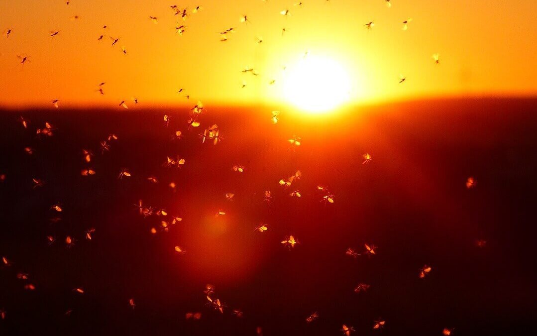 Čemu naj zdravi uživamo molekularni vodik ?