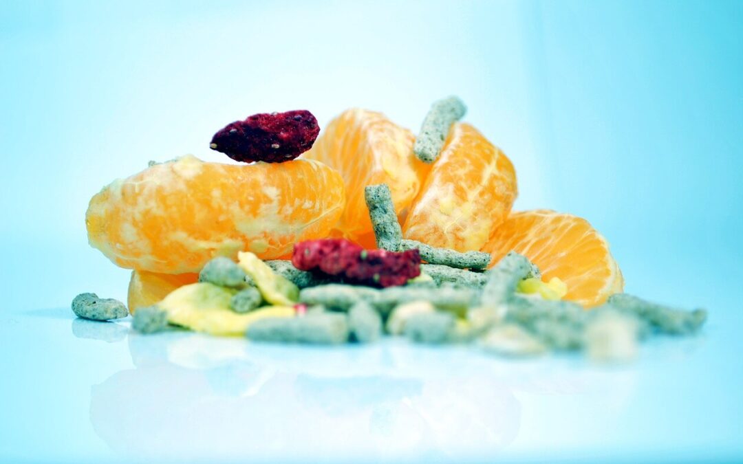 Poskrbimo za zdravo črevesje