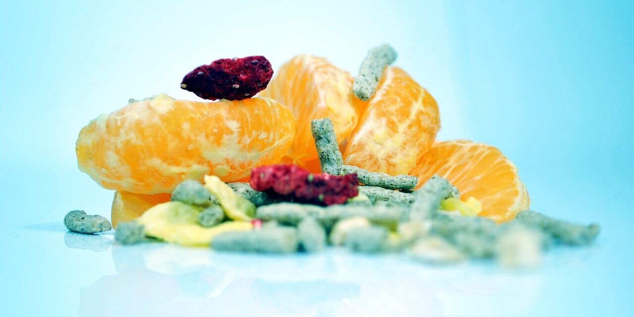 Poskrbimo za zdravo črevesje