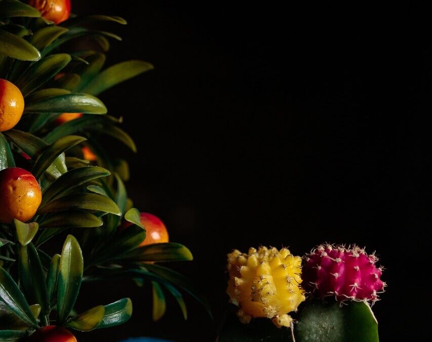 Okrepimo telo z izbranimi živili, pa bo alergij manj